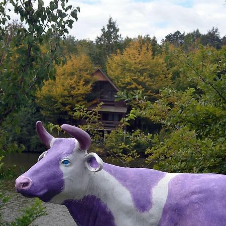 Rancho 555 Konuk evi Ujgorod Dış mekan fotoğraf