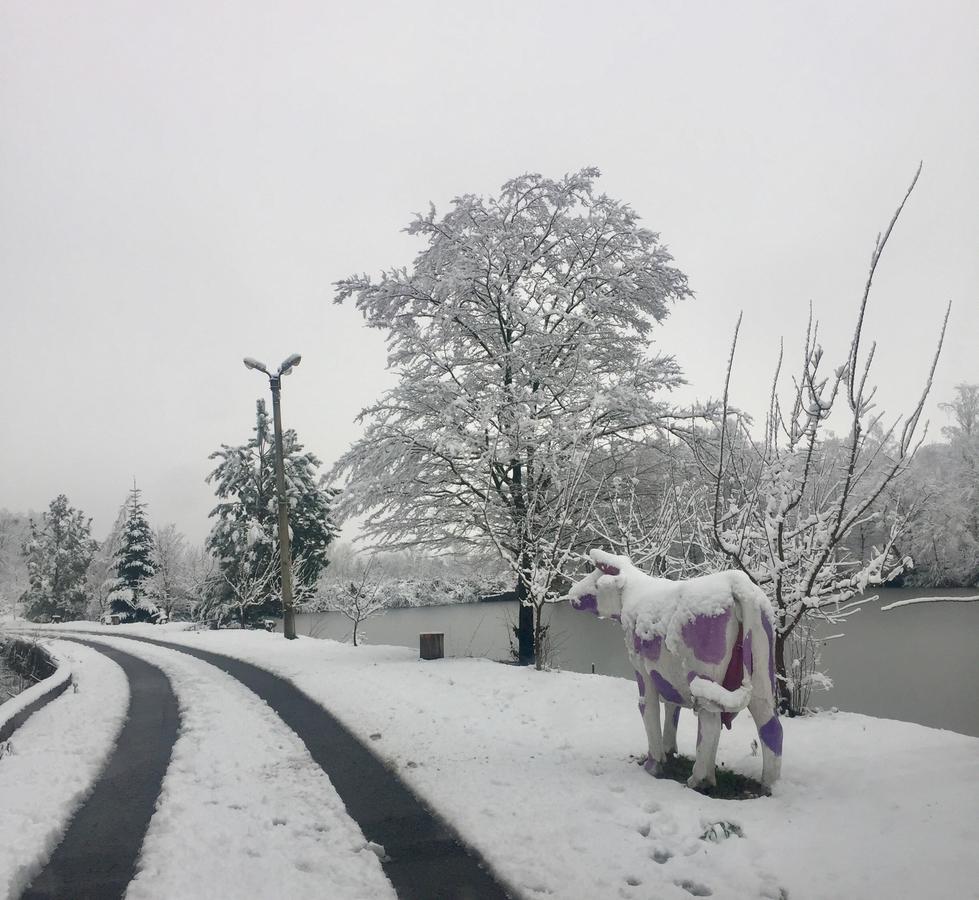 Rancho 555 Konuk evi Ujgorod Dış mekan fotoğraf