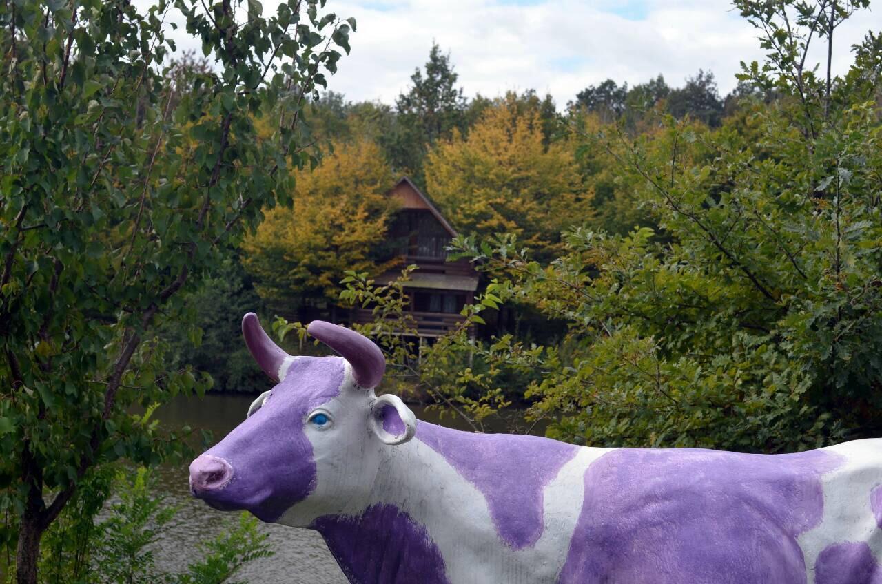 Rancho 555 Konuk evi Ujgorod Dış mekan fotoğraf
